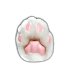 ゆずもも＊猫スタンプ（個別スタンプ：40）
