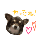 かぼきんの日常（個別スタンプ：6）