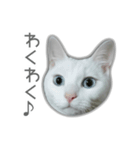 ゆずもも＊猫スタンプ2（個別スタンプ：3）