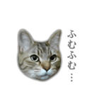 ゆずもも＊猫スタンプ2（個別スタンプ：9）