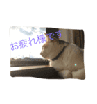 みーちゃんと仲間達（個別スタンプ：3）
