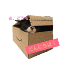 みーちゃんと仲間達（個別スタンプ：12）