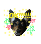 くっきーず（個別スタンプ：5）