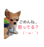 ピース専用スタンプ（個別スタンプ：13）