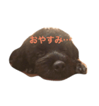 ふくのスタンプ（個別スタンプ：4）