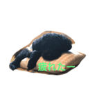 ふくのスタンプ（個別スタンプ：6）