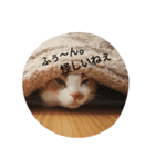 ゆず＆こてつ（個別スタンプ：4）