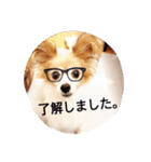 くみのゆかいな仲間達（個別スタンプ：1）
