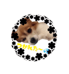 くみのゆかいな仲間達（個別スタンプ：5）