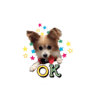 くみのゆかいな仲間達（個別スタンプ：6）