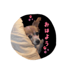 くみのゆかいな仲間達（個別スタンプ：7）
