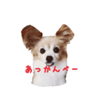 くみのゆかいな仲間達（個別スタンプ：9）
