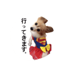 くみのゆかいな仲間達（個別スタンプ：10）