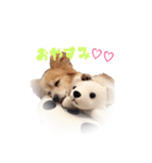 くみのゆかいな仲間達（個別スタンプ：12）