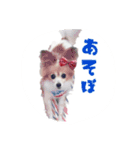 くみのゆかいな仲間達（個別スタンプ：14）