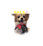 くみのゆかいな仲間達（個別スタンプ：18）