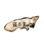 My love pet（個別スタンプ：5）