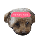 My love pet（個別スタンプ：6）