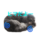 RIHITOスタンプ（個別スタンプ：31）