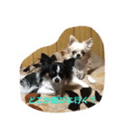 チョコチップクッキー！！（個別スタンプ：5）