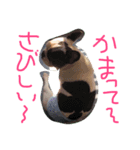 fulebulu（個別スタンプ：1）