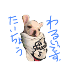 fulebulu（個別スタンプ：3）