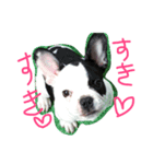 fulebulu（個別スタンプ：5）