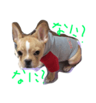 fulebulu（個別スタンプ：6）