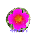 FLOWERZ（個別スタンプ：12）