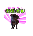 Rapunsel（個別スタンプ：1）