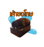 Rapunsel（個別スタンプ：2）
