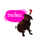 Rapunsel（個別スタンプ：4）