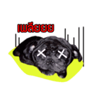 Rapunsel（個別スタンプ：6）