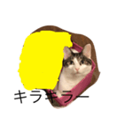 ねこのタークの日常（個別スタンプ：3）