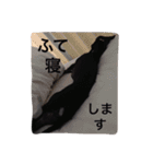イタグレ♥VictoriaのVICKYLIFE（個別スタンプ：13）
