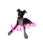 イタグレ♥VictoriaのVICKYLIFE（個別スタンプ：19）