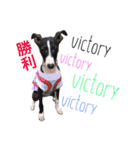 イタグレ♥VictoriaのVICKYLIFE（個別スタンプ：33）