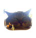 柴犬の寧々とねこのココ（個別スタンプ：4）