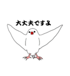 文鳥たちと一緒（個別スタンプ：1）
