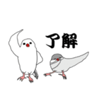 文鳥たちと一緒（個別スタンプ：4）