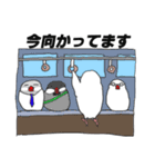 文鳥たちと一緒（個別スタンプ：13）