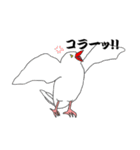 文鳥たちと一緒（個別スタンプ：15）