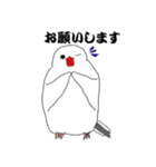 文鳥たちと一緒（個別スタンプ：23）