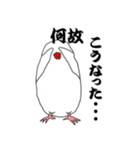 文鳥たちと一緒（個別スタンプ：24）