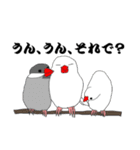 文鳥たちと一緒（個別スタンプ：37）