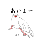 文鳥たちと一緒（個別スタンプ：38）