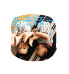 らいなる（個別スタンプ：1）