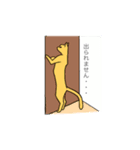 るーにゃんの日々（個別スタンプ：36）