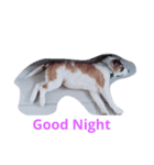 My Name Is Mama I'm a cute puppy（個別スタンプ：1）