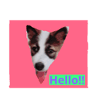 My Name Is Mama I'm a cute puppy（個別スタンプ：2）